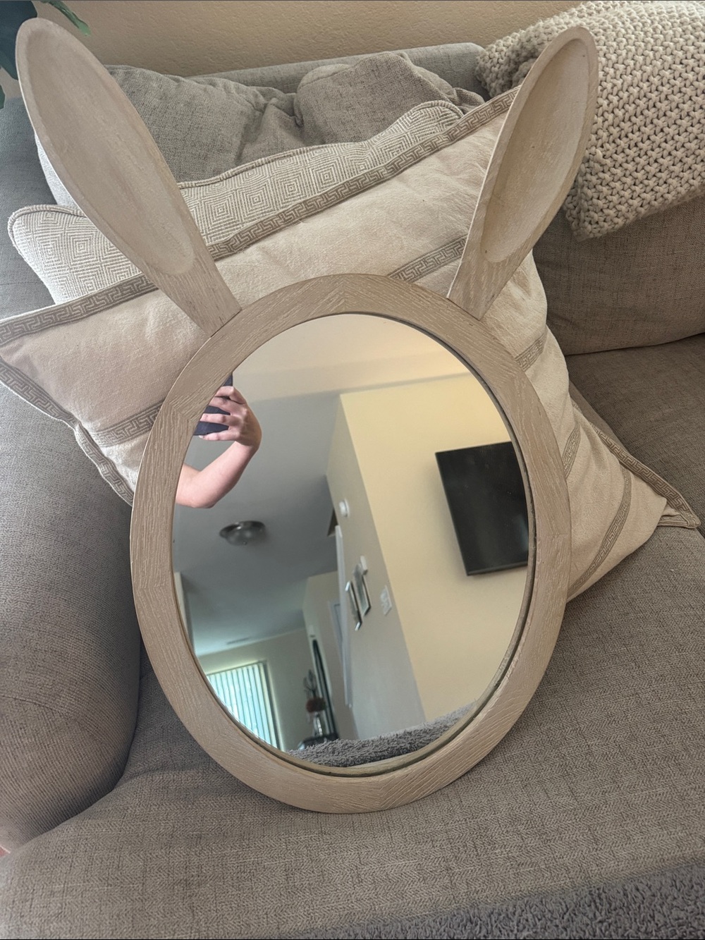 Pottery barn bunny mirror